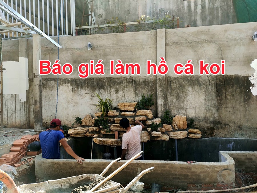 báo giá làm hồ cá koi